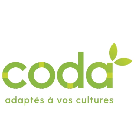 CODA