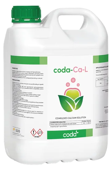 CODA-Ca-L