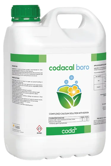 CODACAL Boro