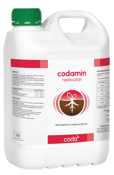 CODAMIN RADICULAR