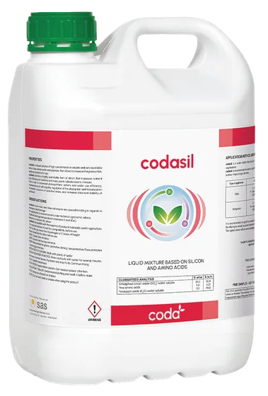 CODASIL