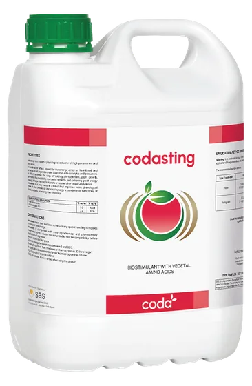 CODASTING