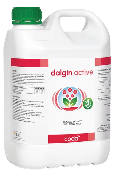 DALGIN ACTIVE