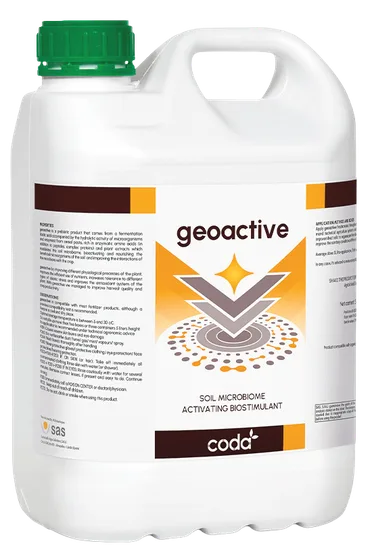 GEOACTIVE