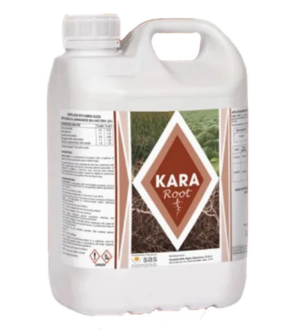 KARA Root