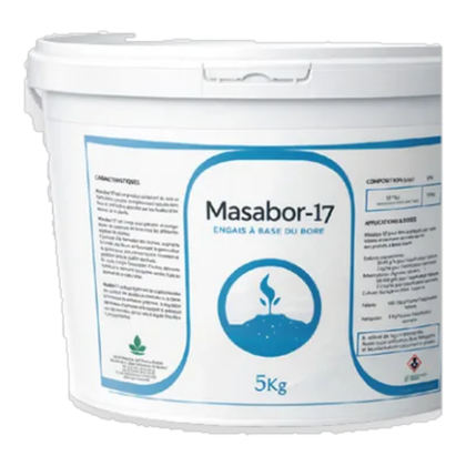 MASABOR 17